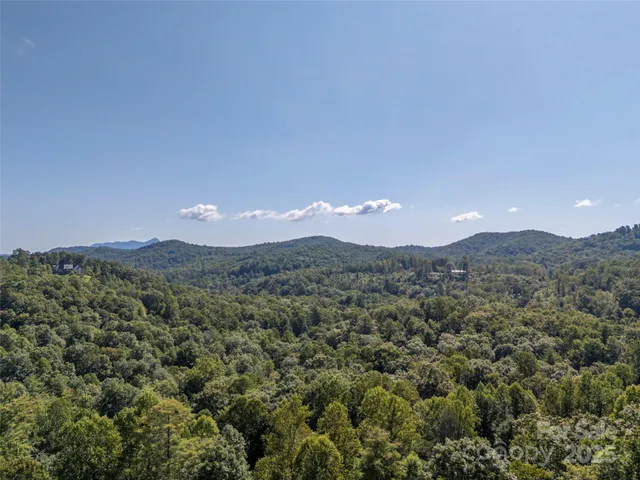 $640,000 | 174 Big Raven Lane, Saluda, NC 28773