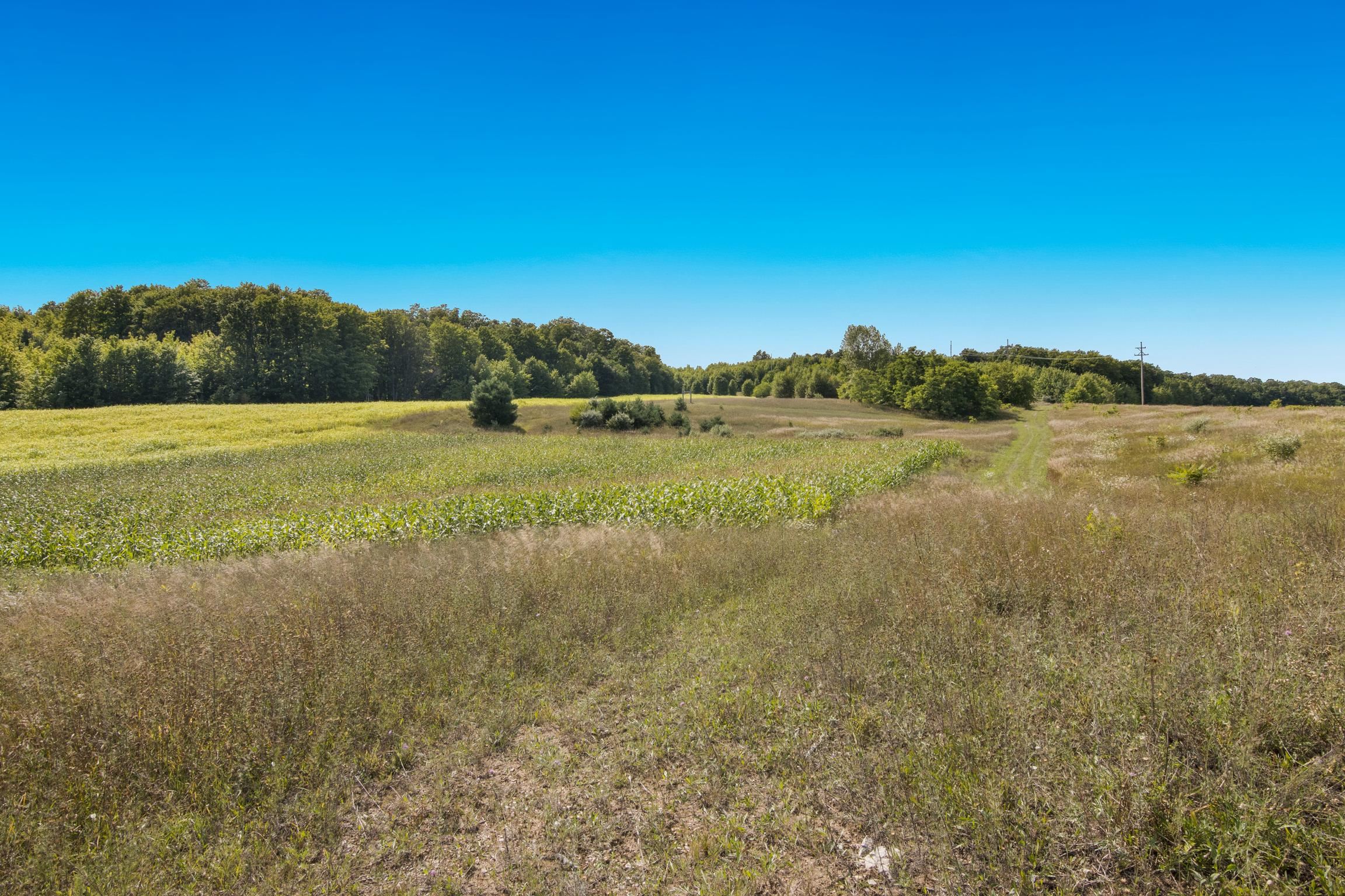 9224 East Duck Lake Road Suttons Bay, MI 49682 - Photo 20 of 63
