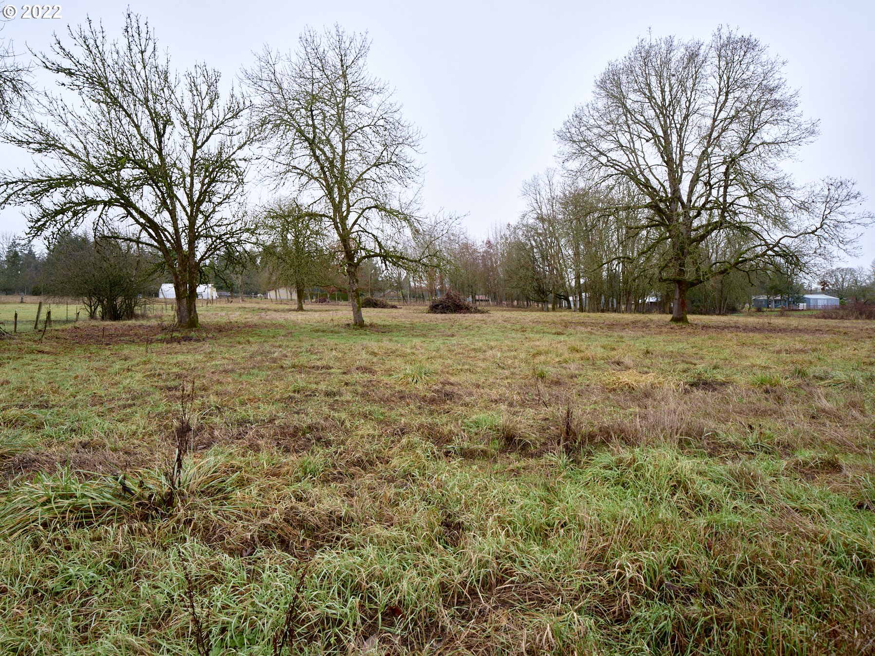20620 Northeast 22nd Avenue Ridgefield, WA 98642 - Photo 24 of 31 Pasture