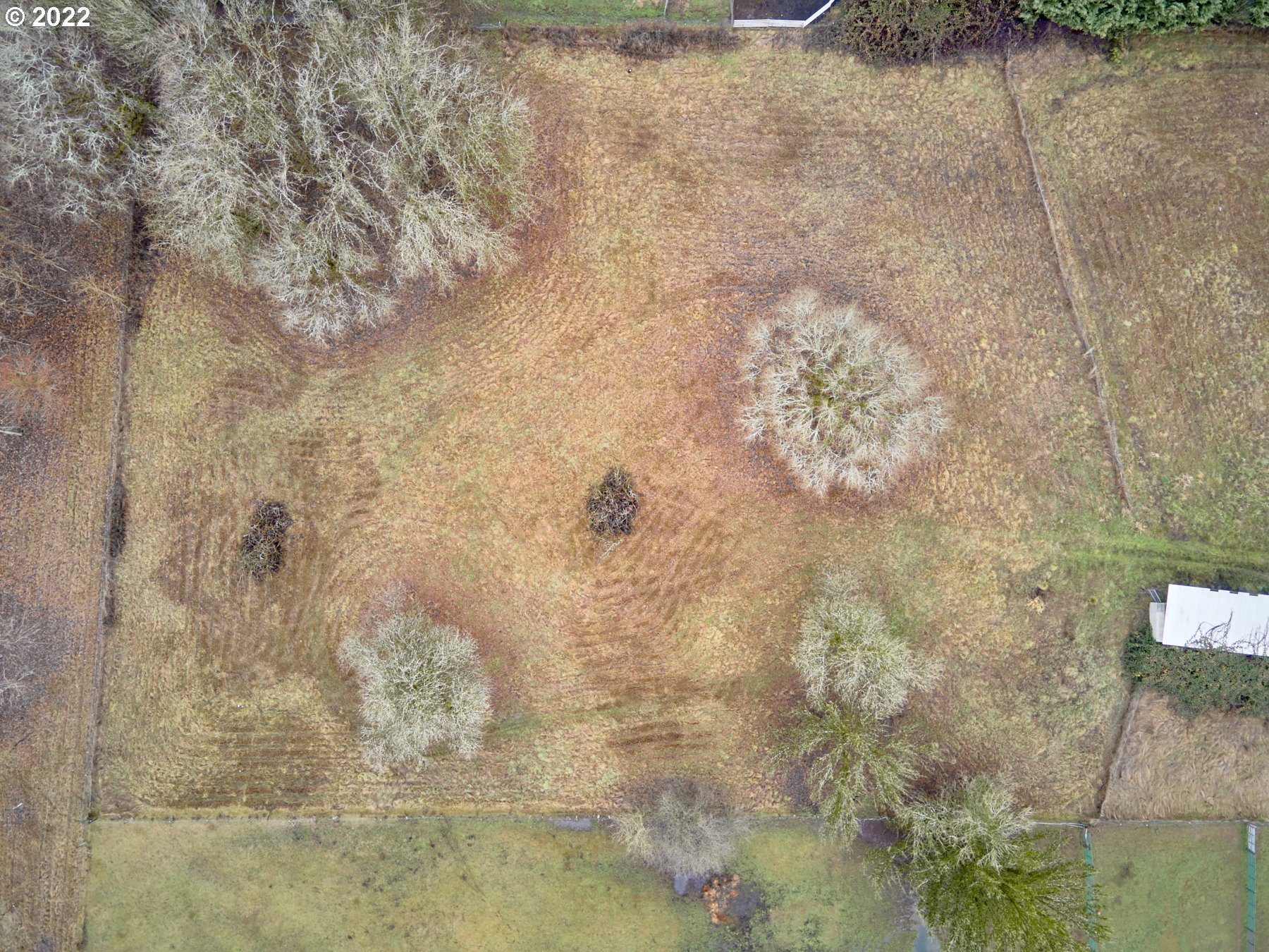 20620 Northeast 22nd Avenue Ridgefield, WA 98642 - Photo 27 of 31 Pasture