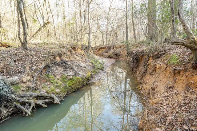 $300,000 | 0 Red Oak Road, Marshall, TX 75670