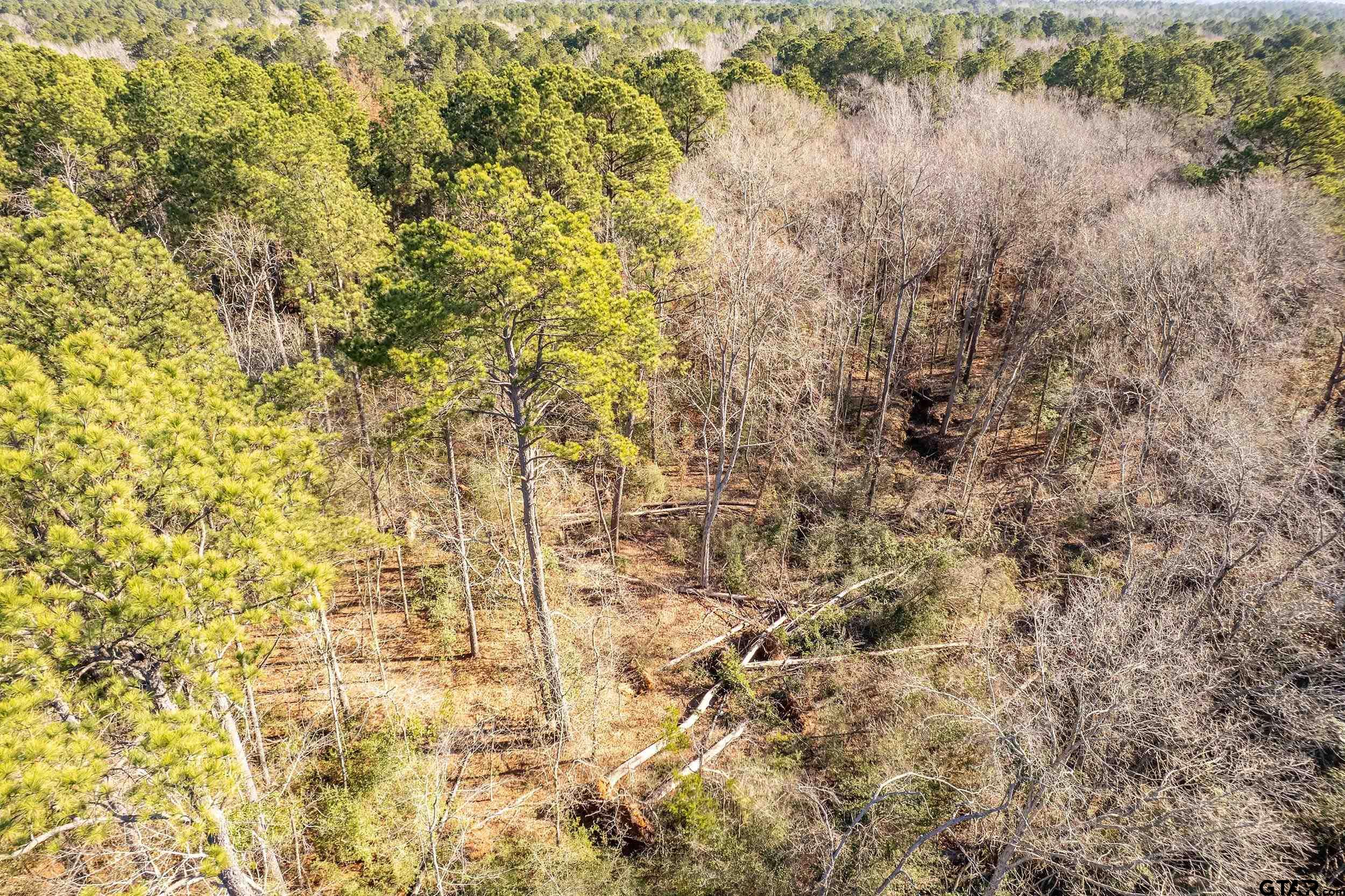 Tbd Red Oak Road Marshall, TX 75670 - Photo 11 of 47