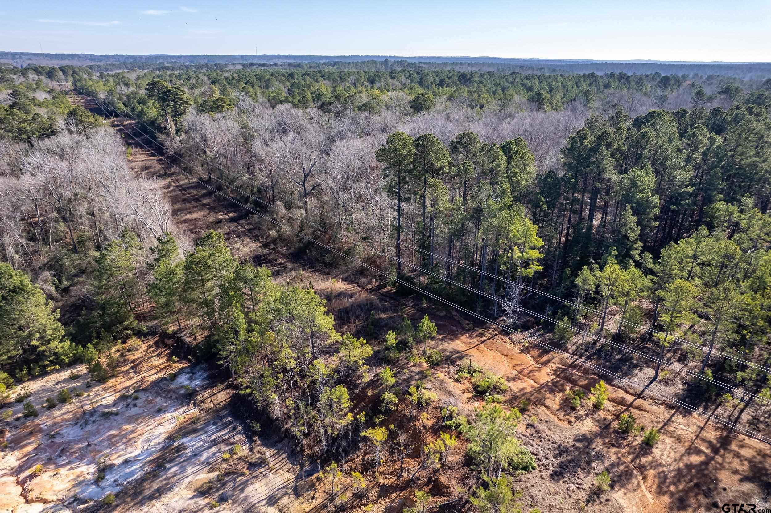 0 Red Oak Road Marshall, TX 75670 - Photo 12 of 47