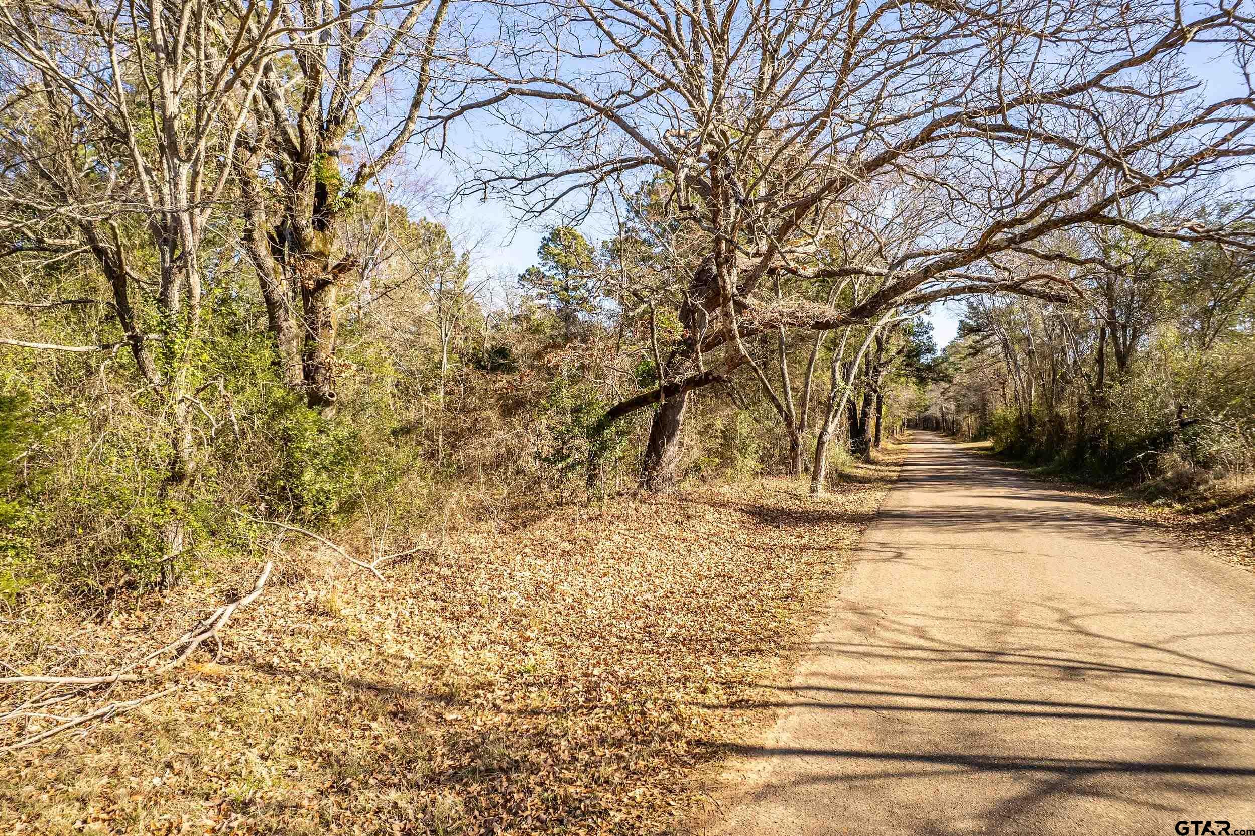 0 Red Oak Road Marshall, TX 75670 - Photo 16 of 47