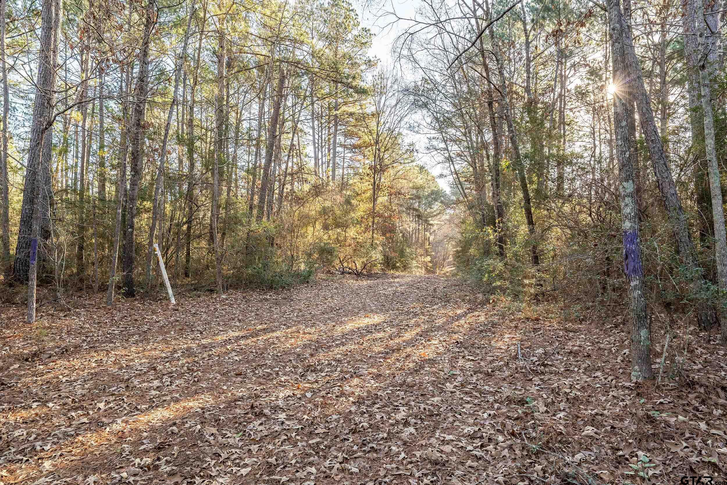 0 Red Oak Road Marshall, TX 75670 - Photo 17 of 47