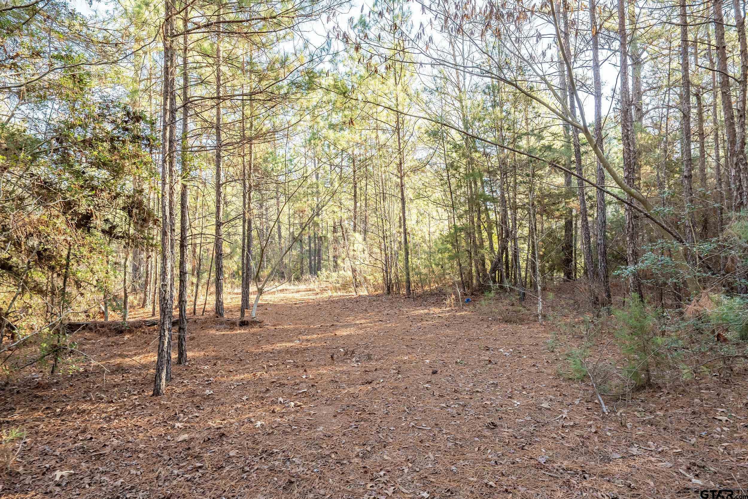 0 Red Oak Road Marshall, TX 75670 - Photo 19 of 47