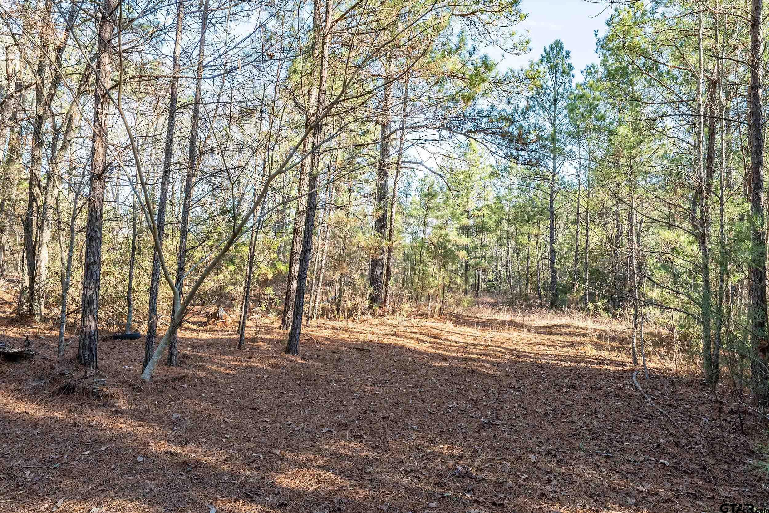 0 Red Oak Road Marshall, TX 75670 - Photo 20 of 47