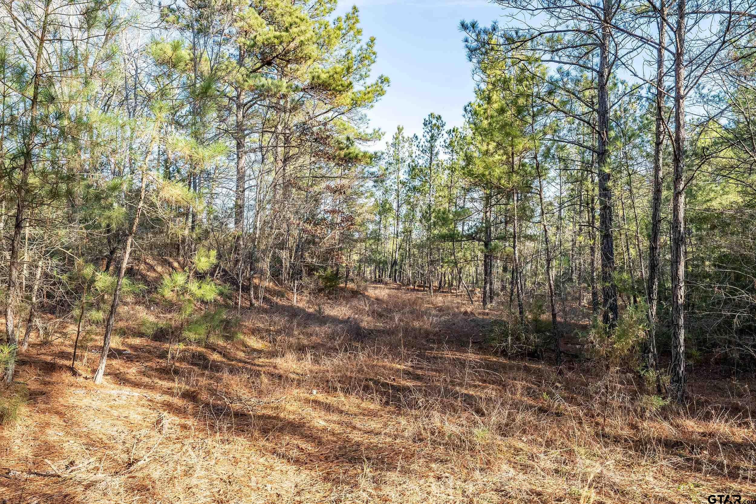 0 Red Oak Road Marshall, TX 75670 - Photo 21 of 47