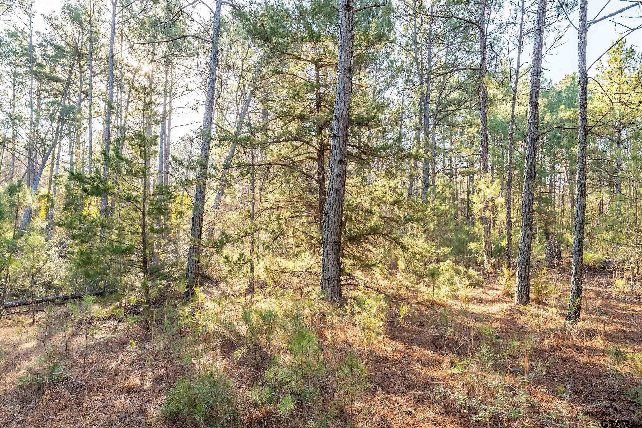 0 Red Oak Road Marshall, TX 75670 - Photo 22 of 47