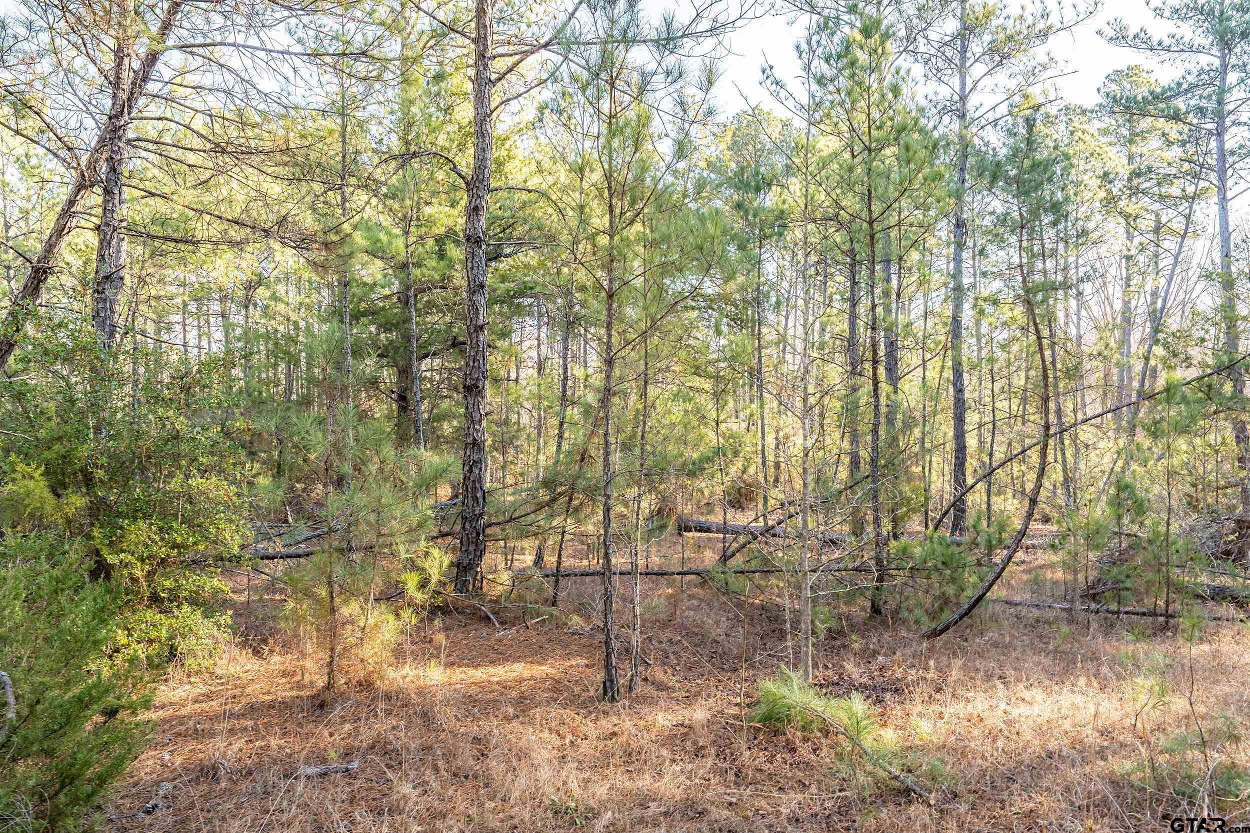 0 Red Oak Road Marshall, TX 75670 - Photo 23 of 47