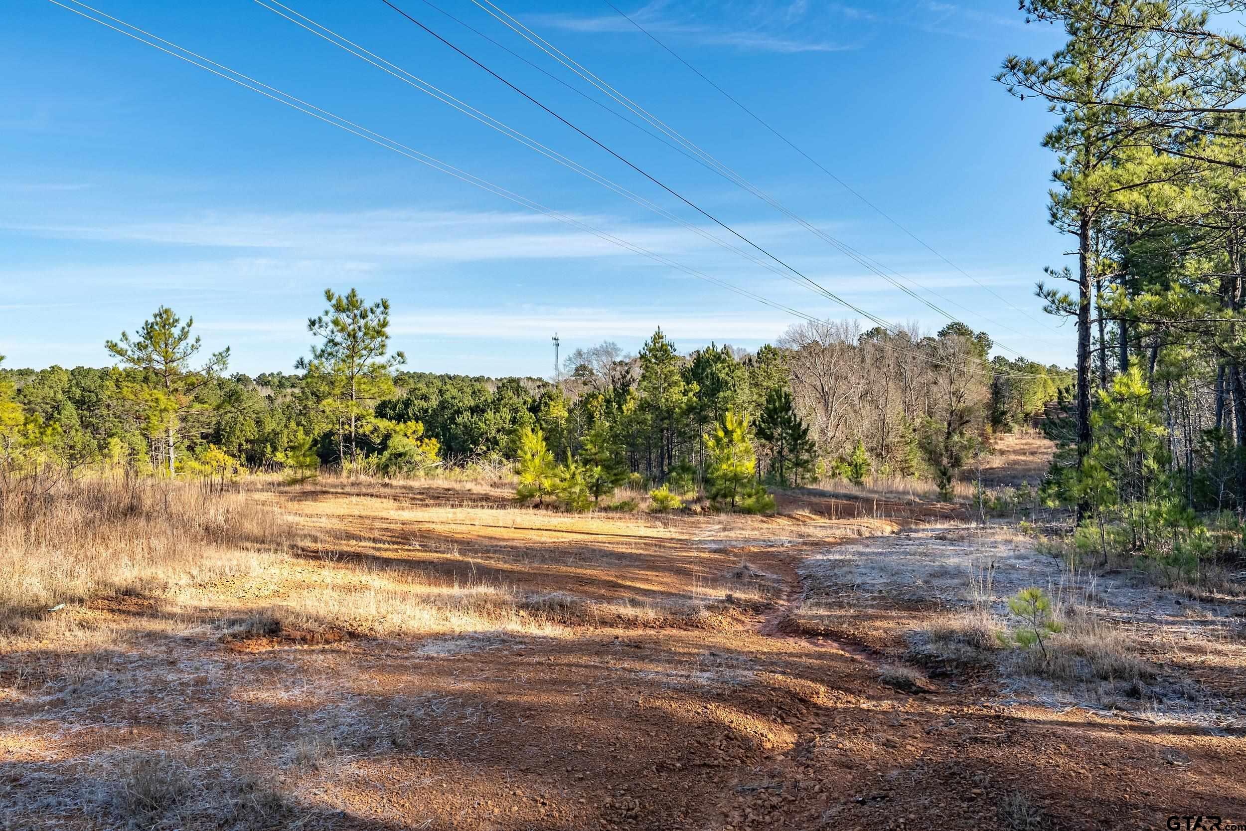 0 Red Oak Road Marshall, TX 75670 - Photo 24 of 47