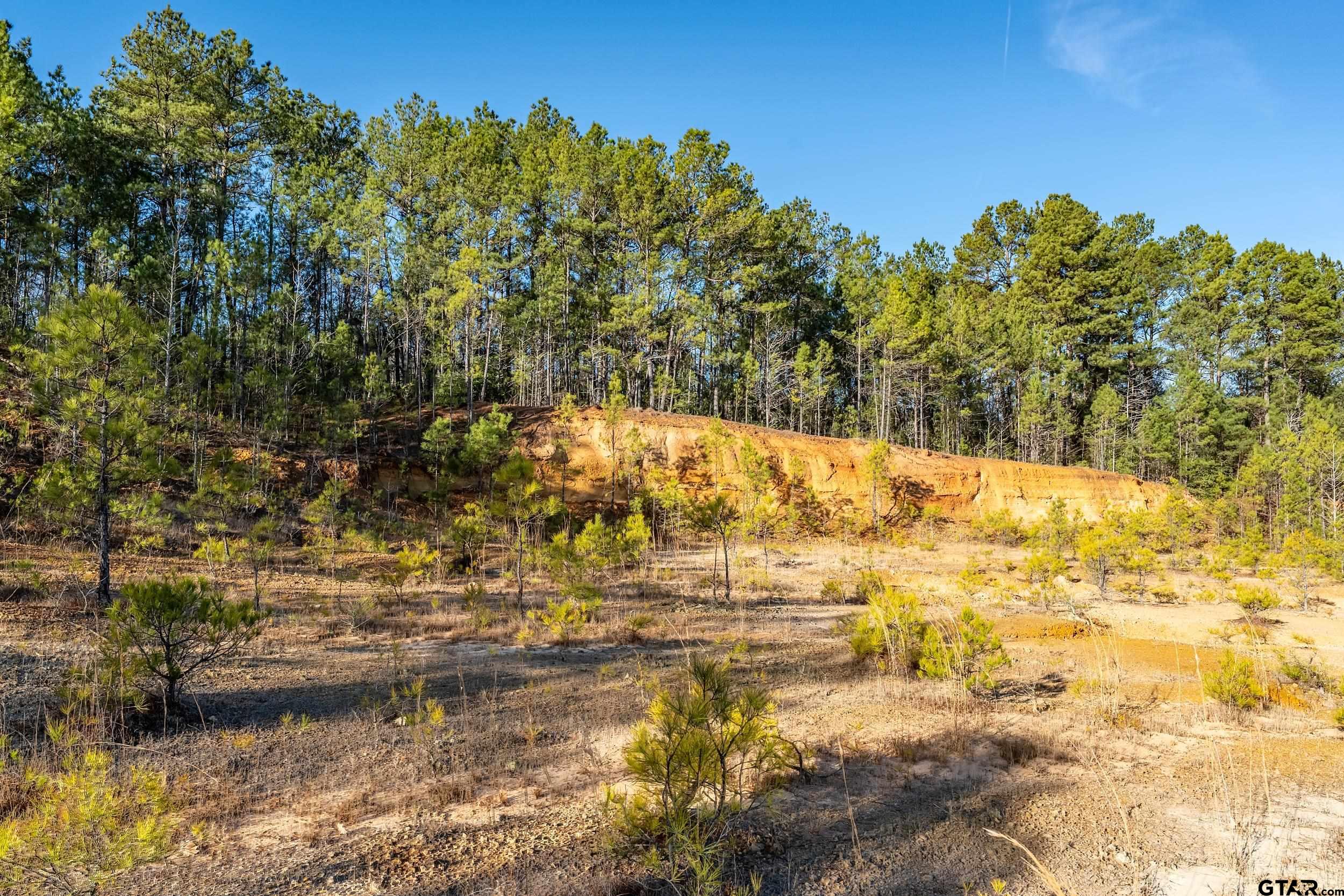 0 Red Oak Road Marshall, TX 75670 - Photo 27 of 47