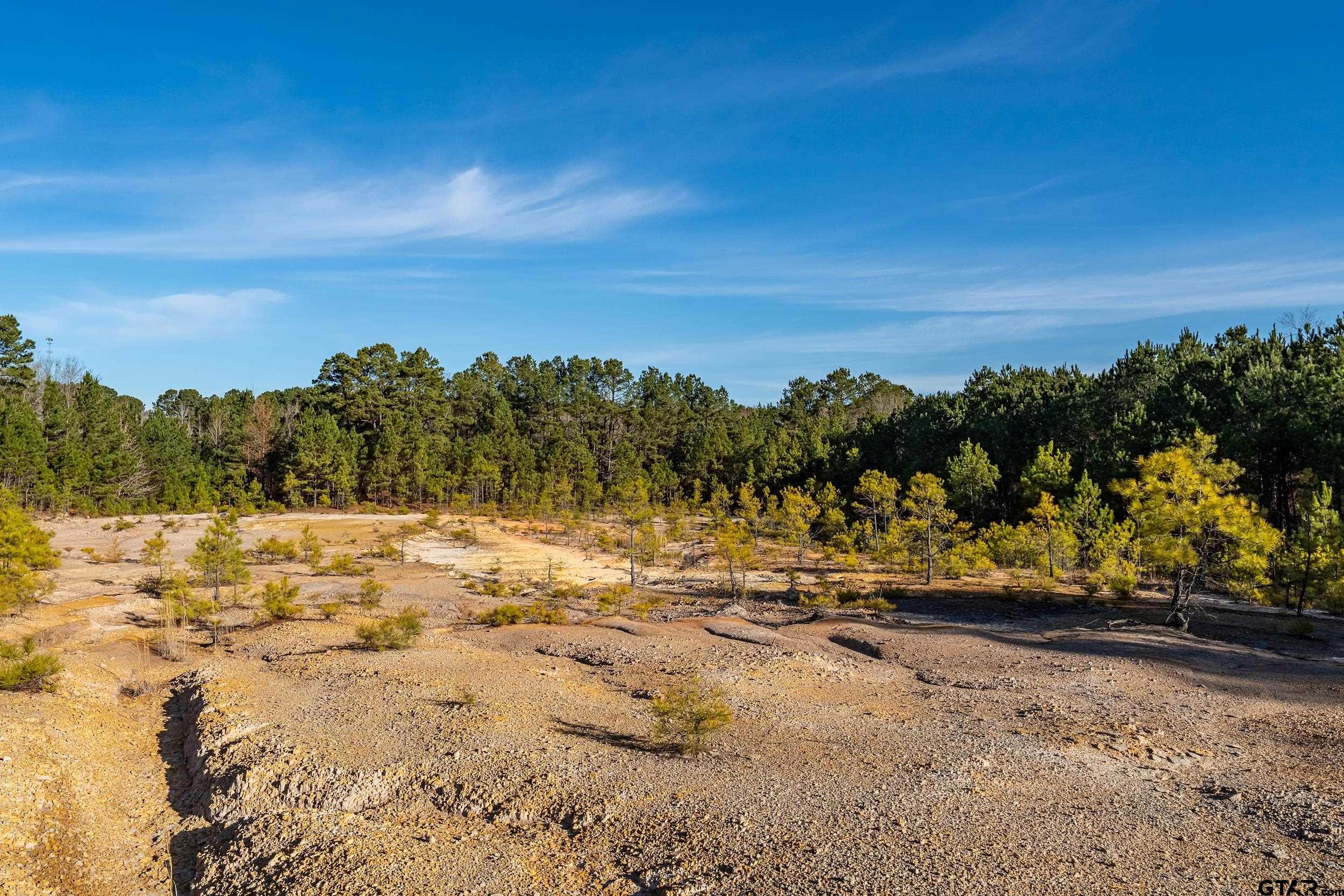 0 Red Oak Road Marshall, TX 75670 - Photo 28 of 47