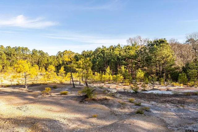 a view of empty room with trees