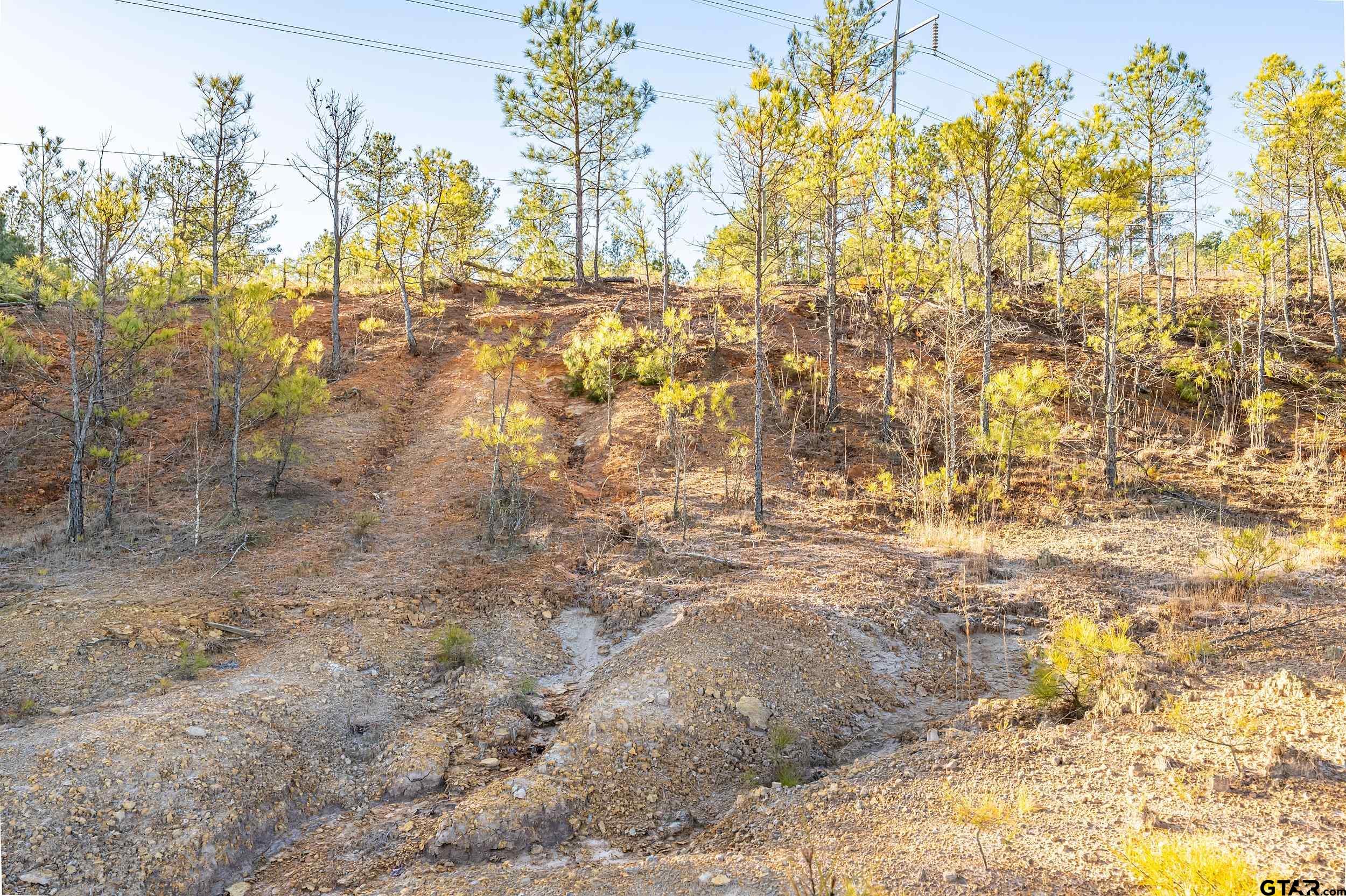 0 Red Oak Road Marshall, TX 75670 - Photo 30 of 47