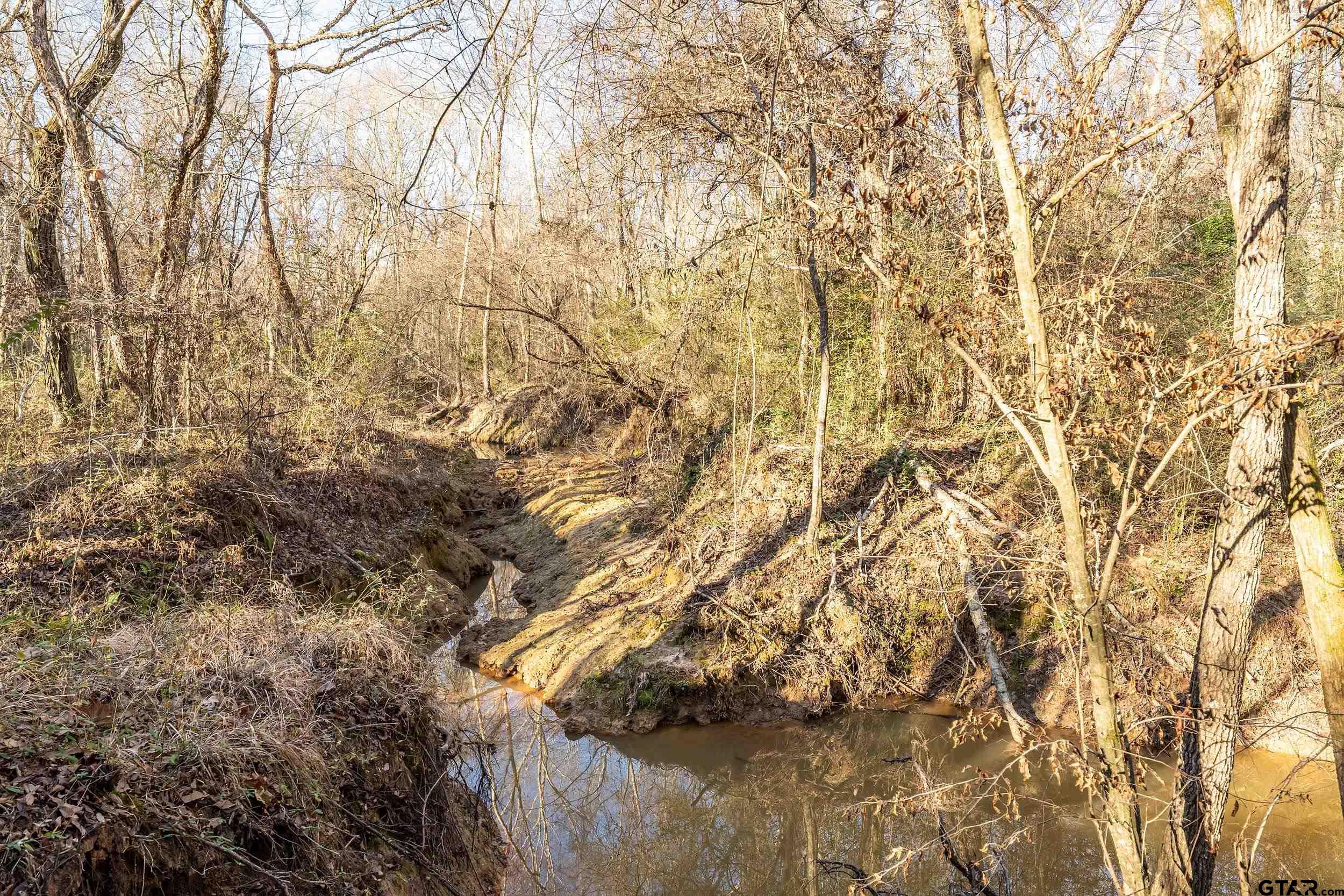 0 Red Oak Road Marshall, TX 75670 - Photo 31 of 47