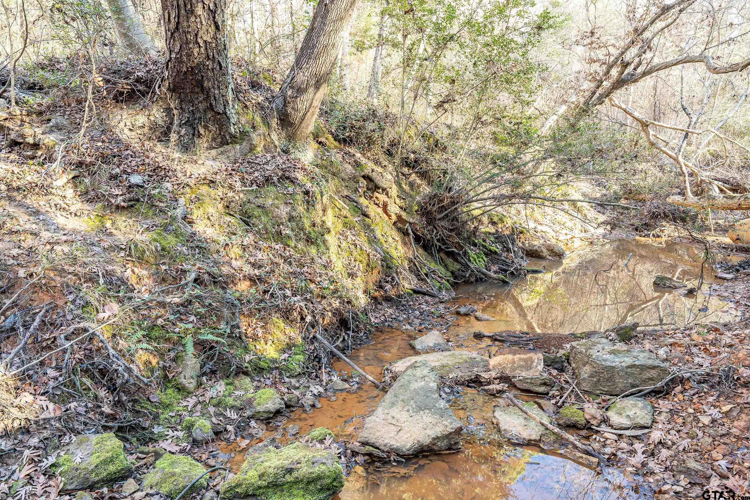 0 Red Oak Road Marshall, TX 75670 - Photo 33 of 47