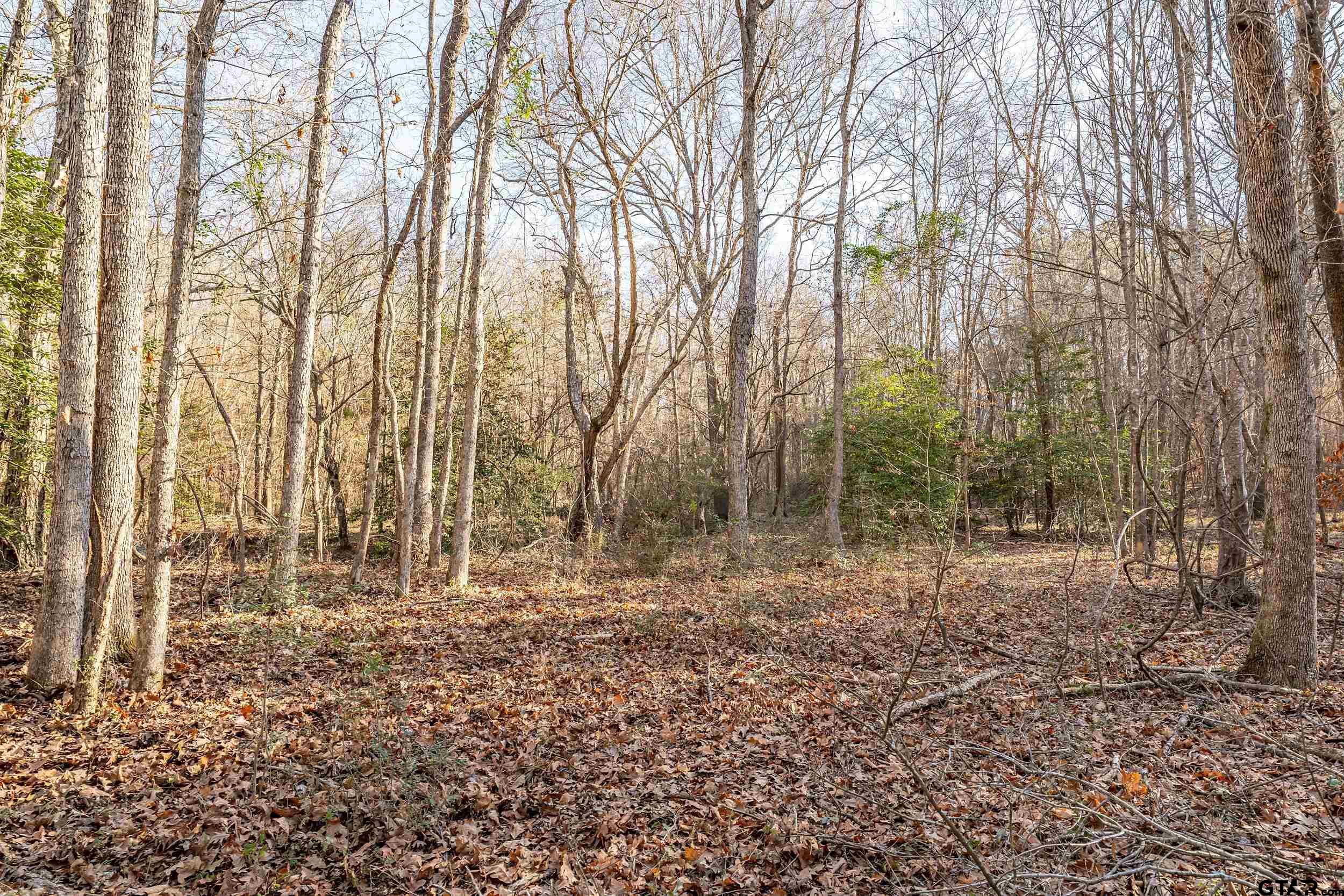 0 Red Oak Road Marshall, TX 75670 - Photo 34 of 47