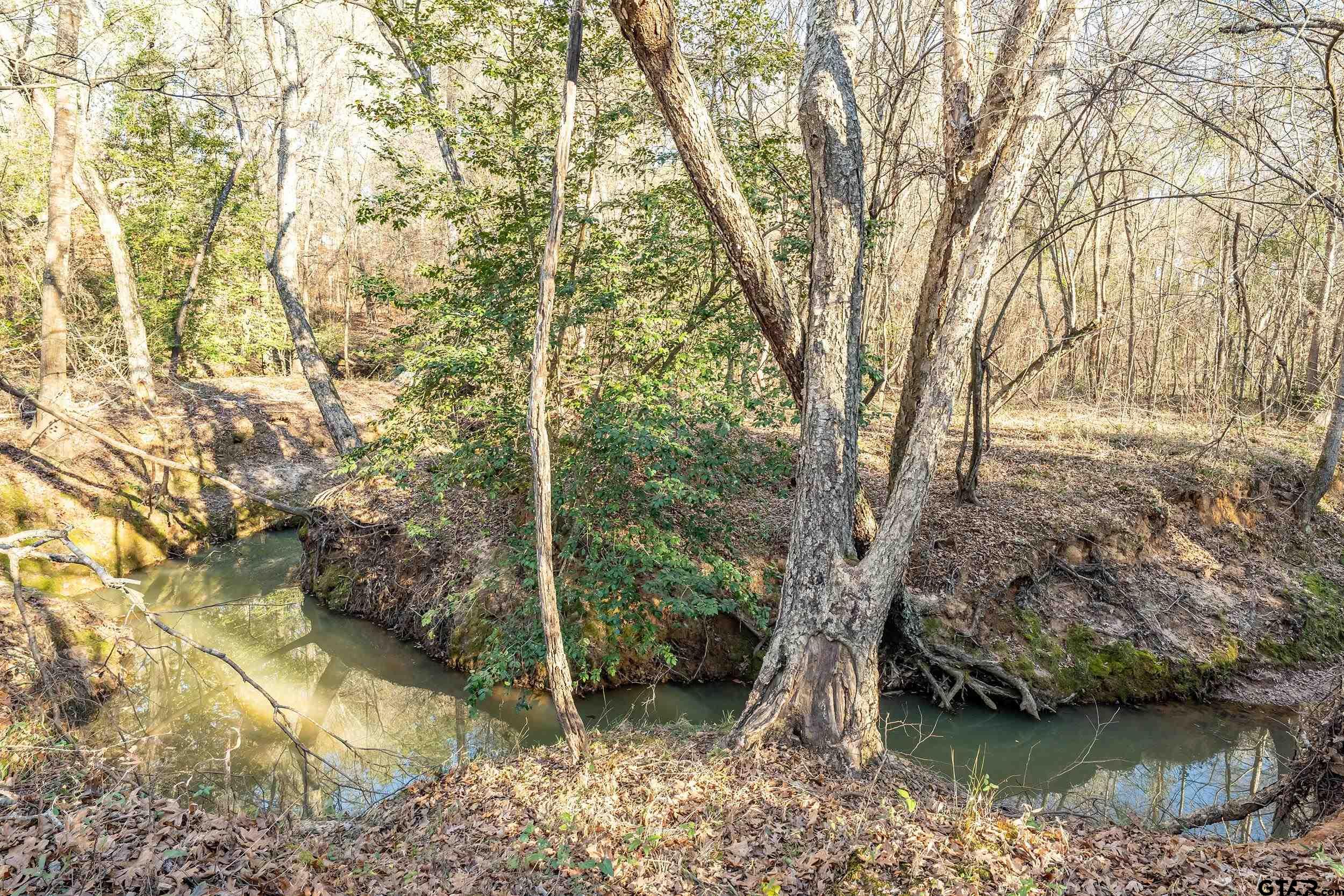 0 Red Oak Road Marshall, TX 75670 - Photo 35 of 47