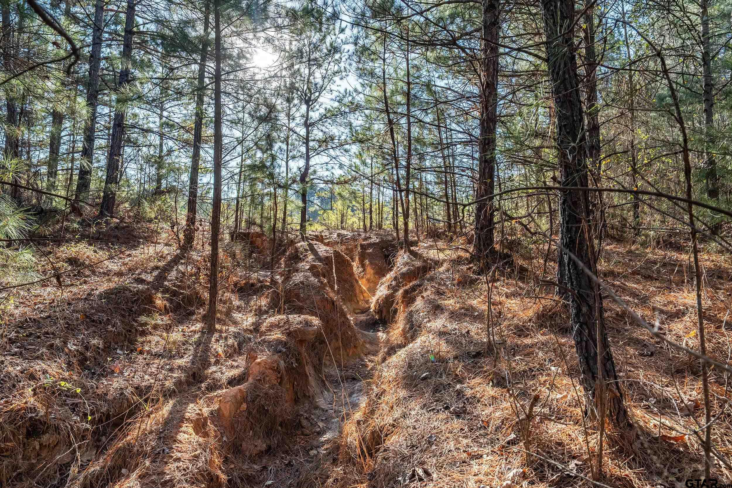Tbd Red Oak Road Marshall, TX 75670 - Photo 35 of 47