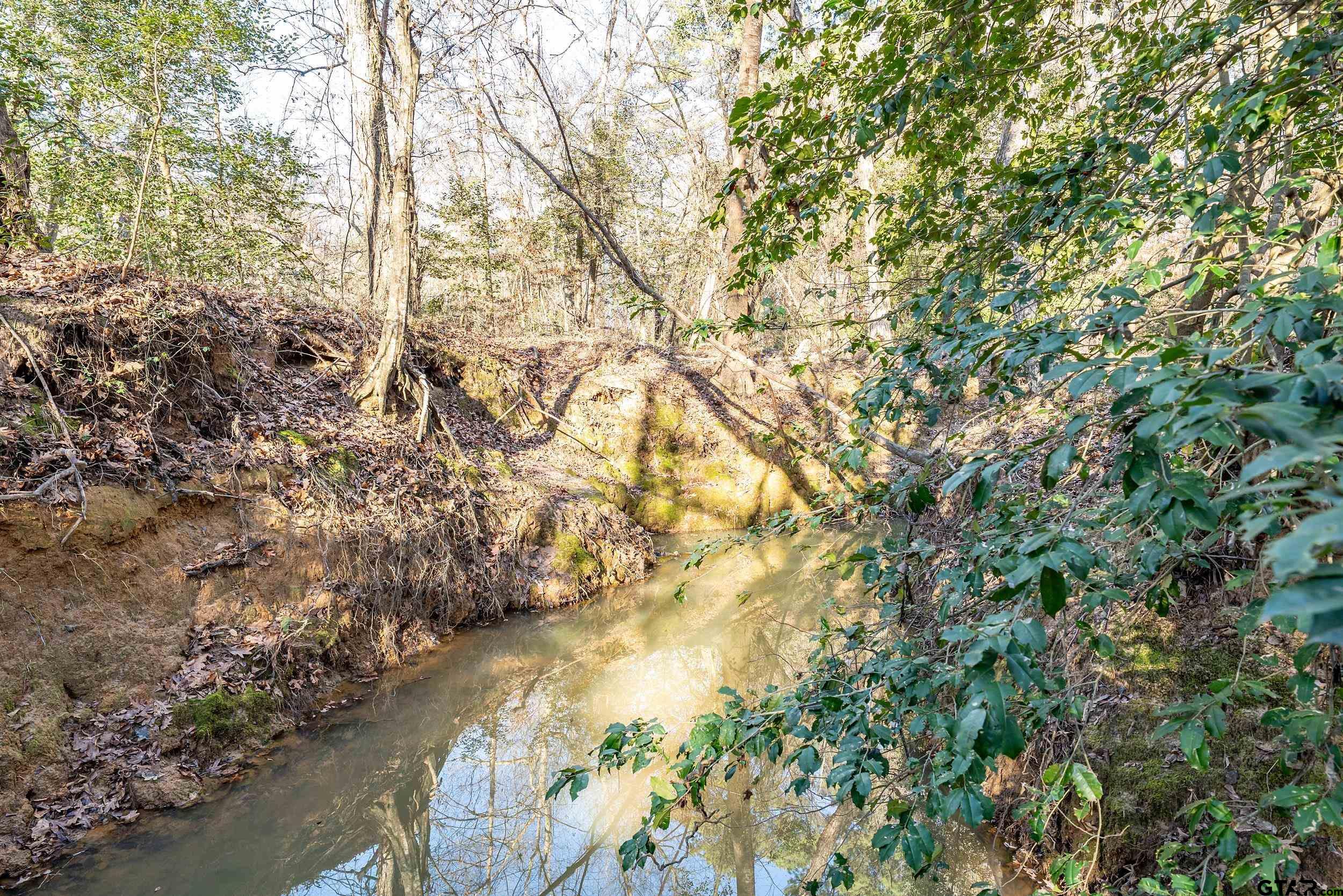 0 Red Oak Road Marshall, TX 75670 - Photo 36 of 47