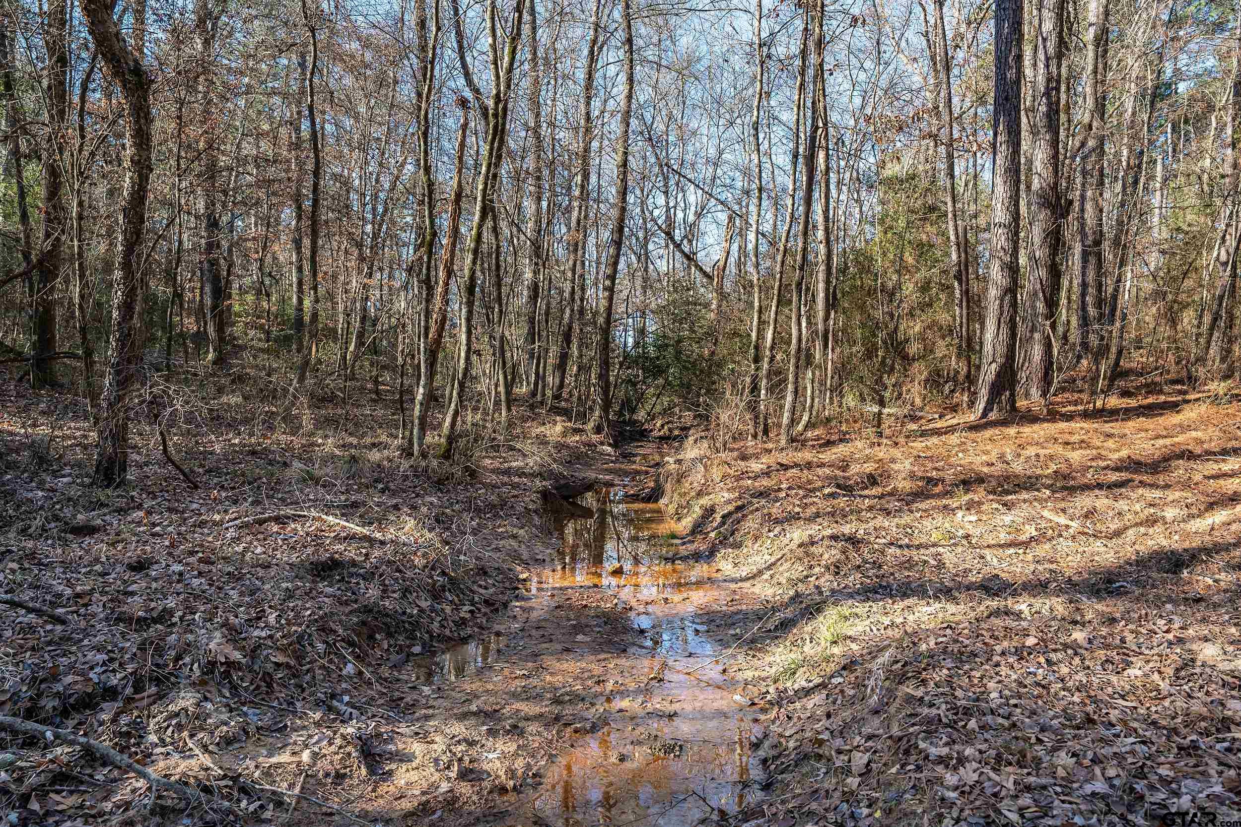 Tbd Red Oak Road Marshall, TX 75670 - Photo 36 of 47