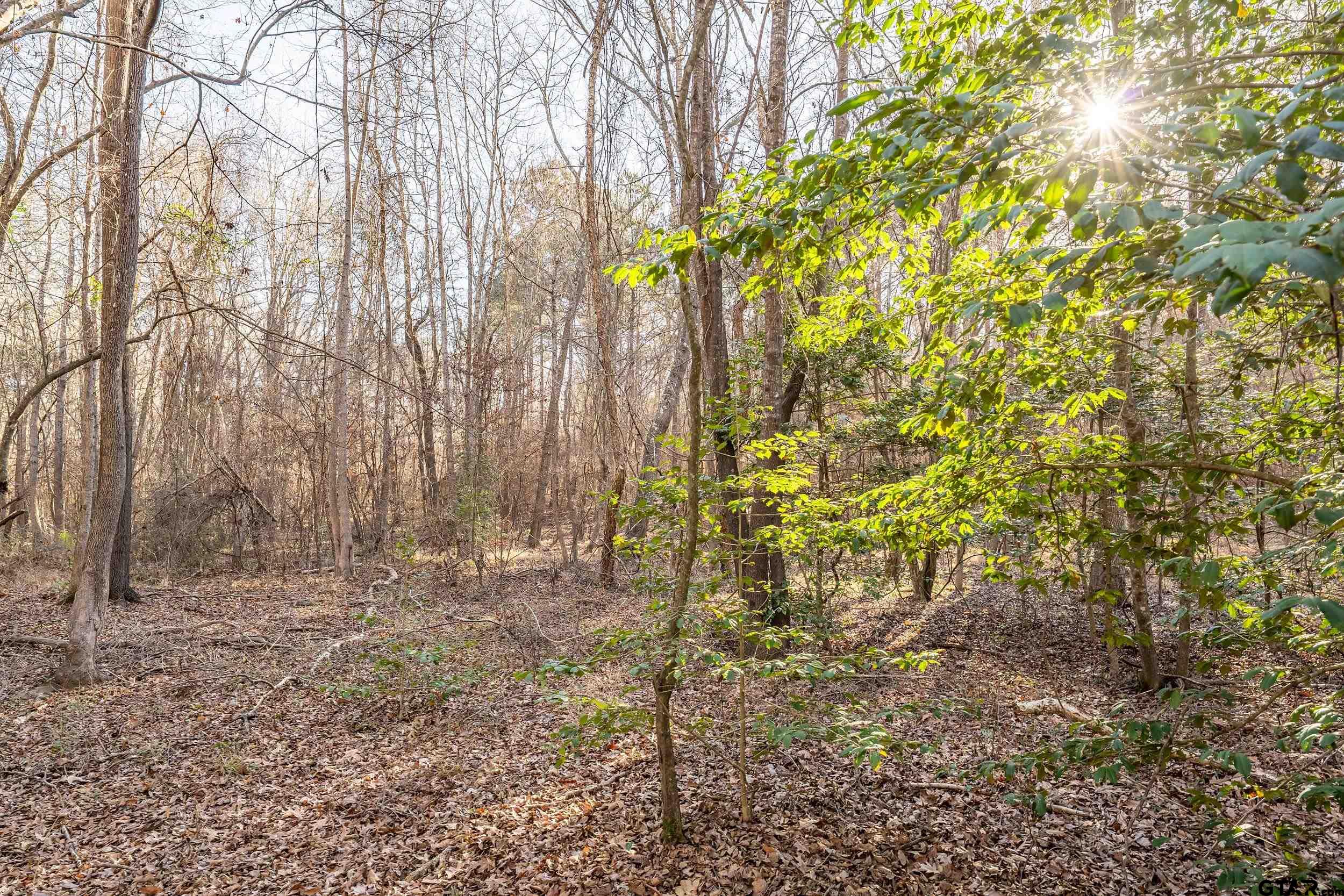 0 Red Oak Road Marshall, TX 75670 - Photo 37 of 47