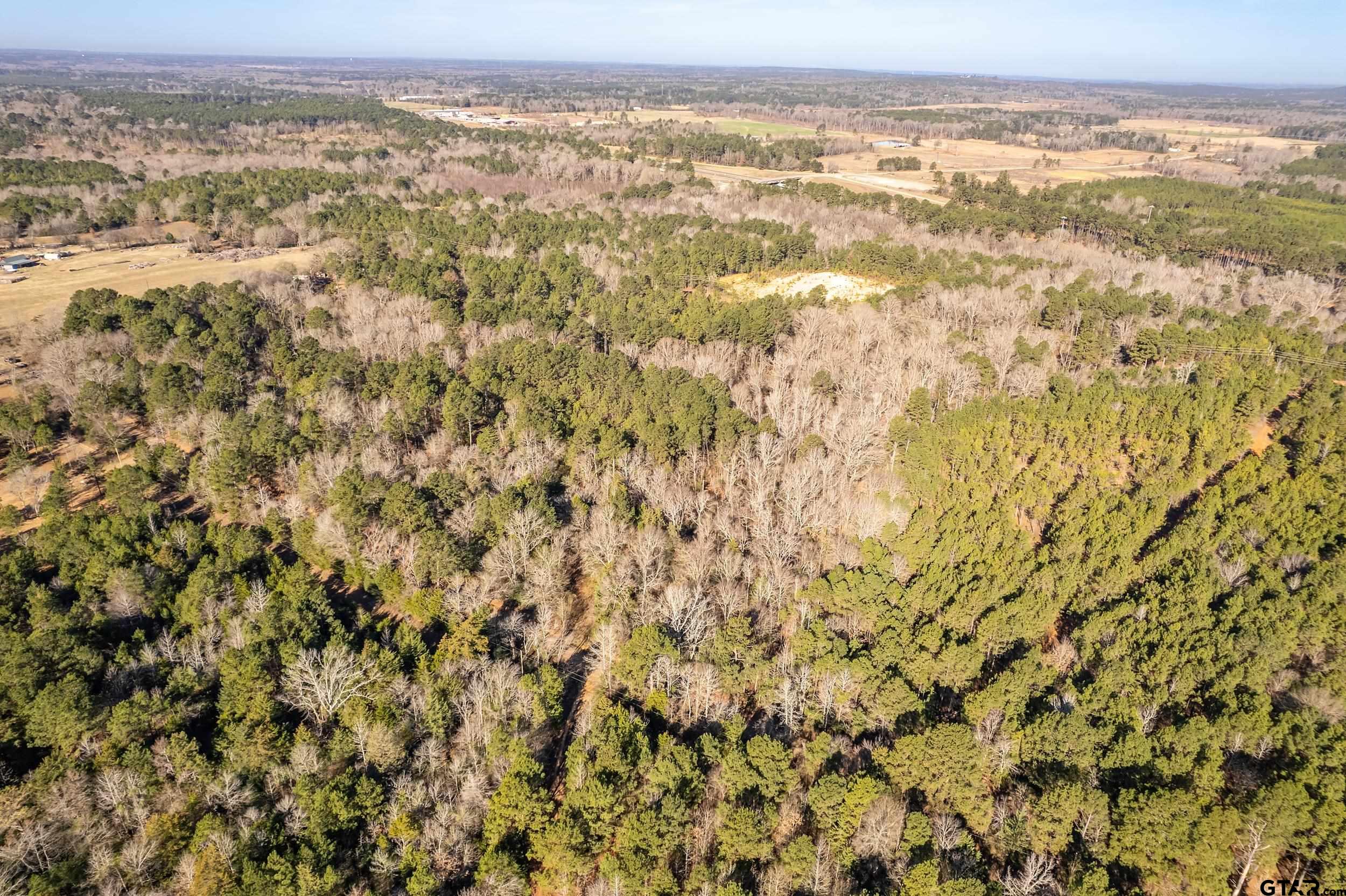 0 Red Oak Road Marshall, TX 75670 - Photo 4 of 47