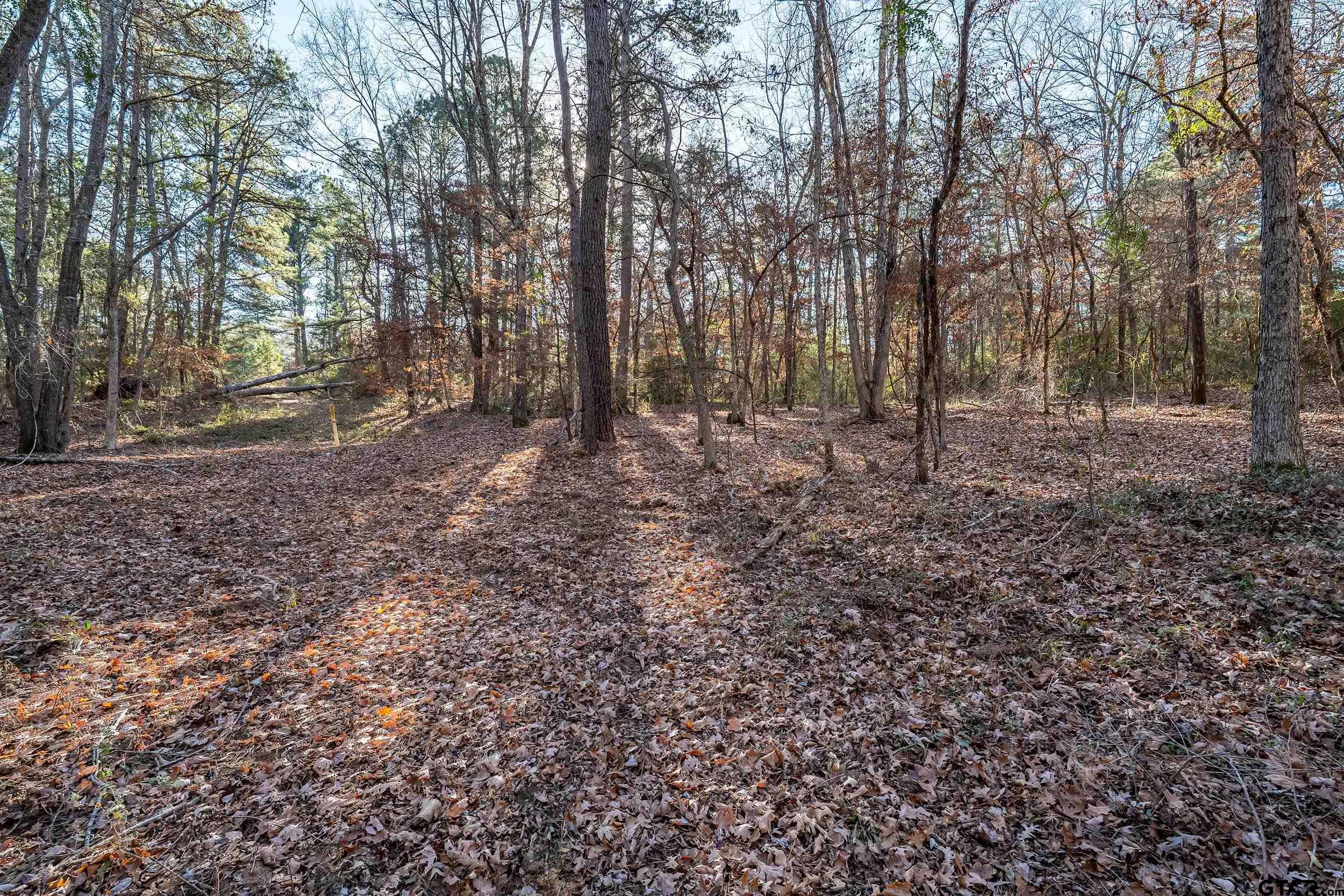 0 Red Oak Road Marshall, TX 75670 - Photo 41 of 47