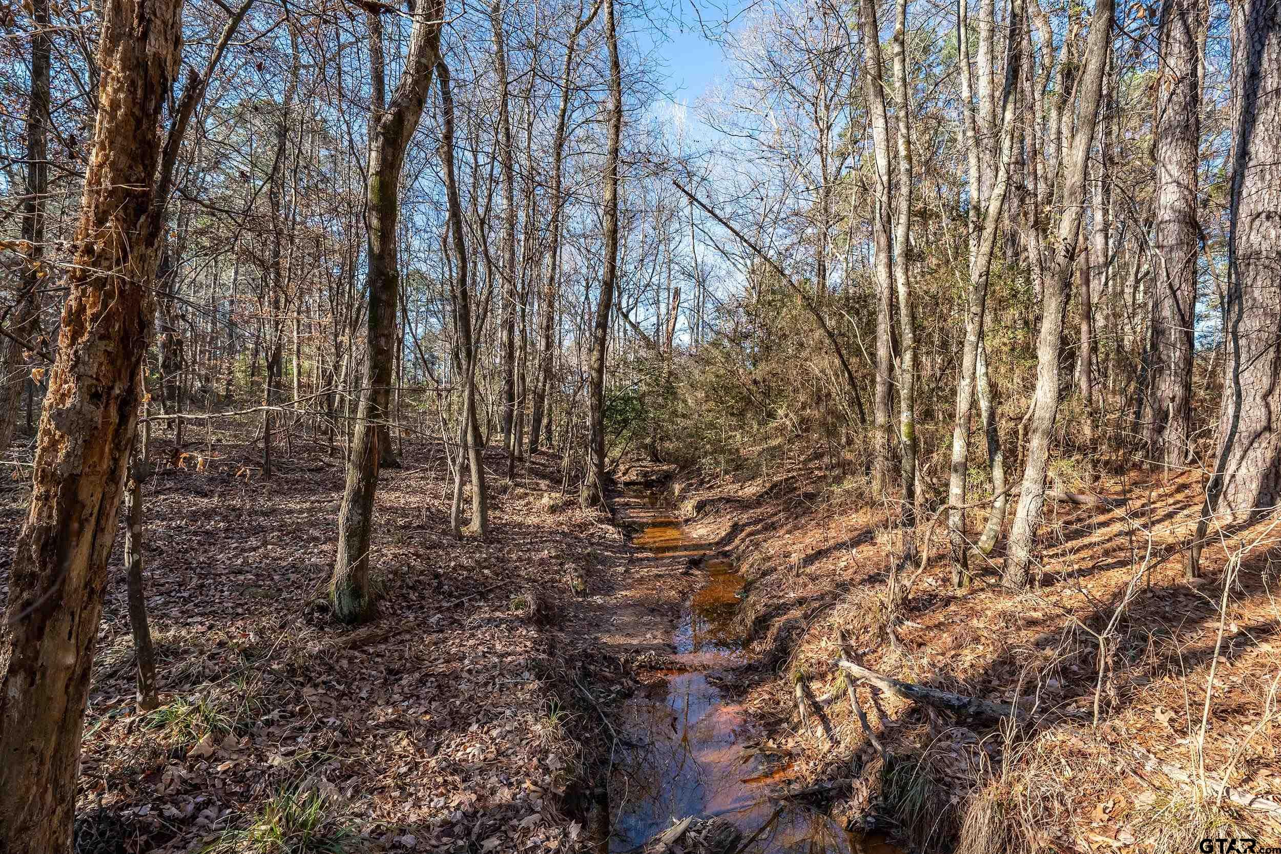 0 Red Oak Road Marshall, TX 75670 - Photo 42 of 47
