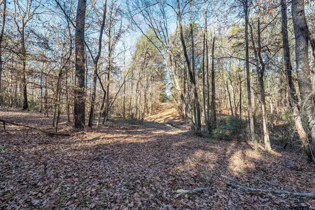 $300,000 | 0 Red Oak Road, Marshall, TX 75670