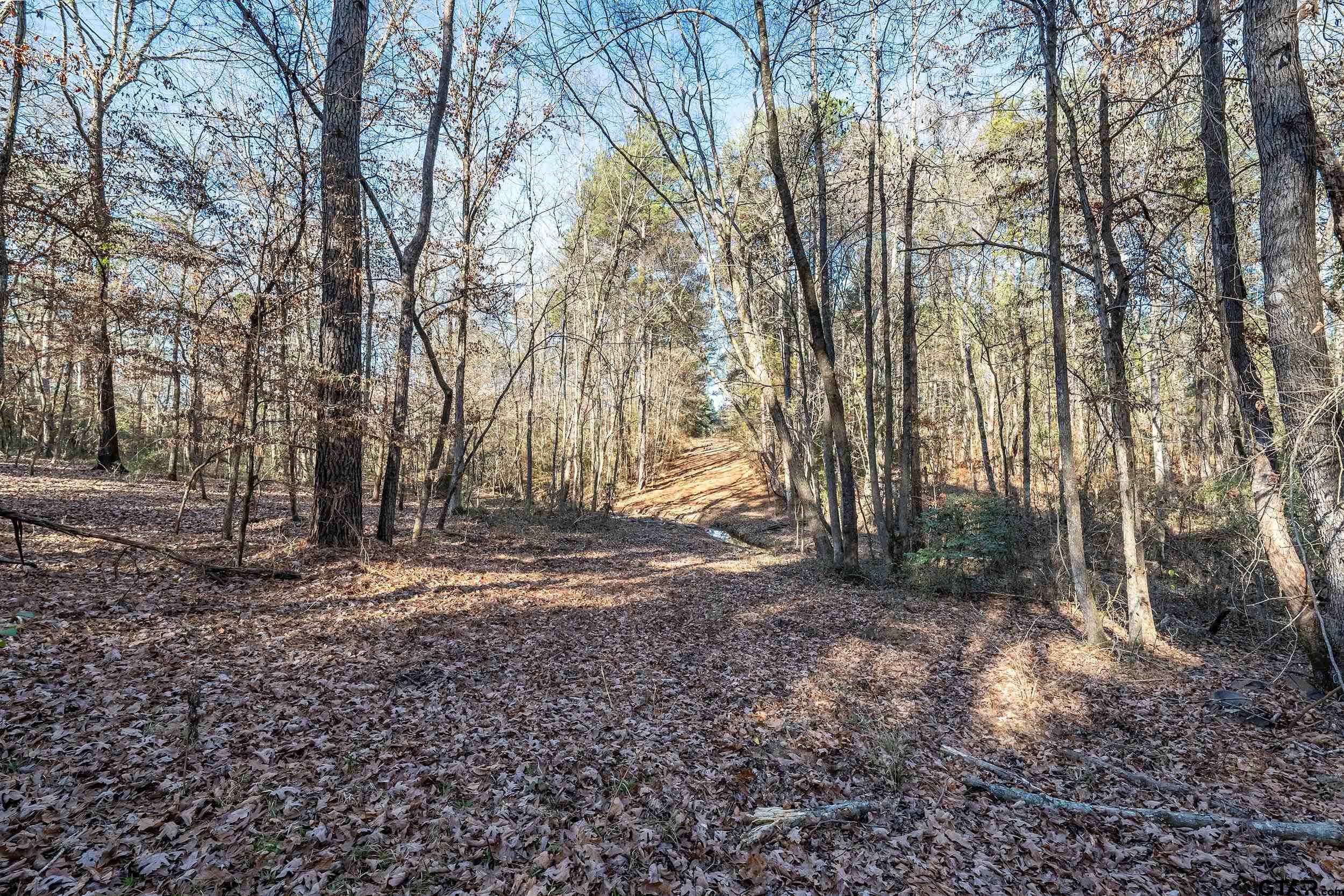 0 Red Oak Road Marshall, TX 75670 - Photo 43 of 47