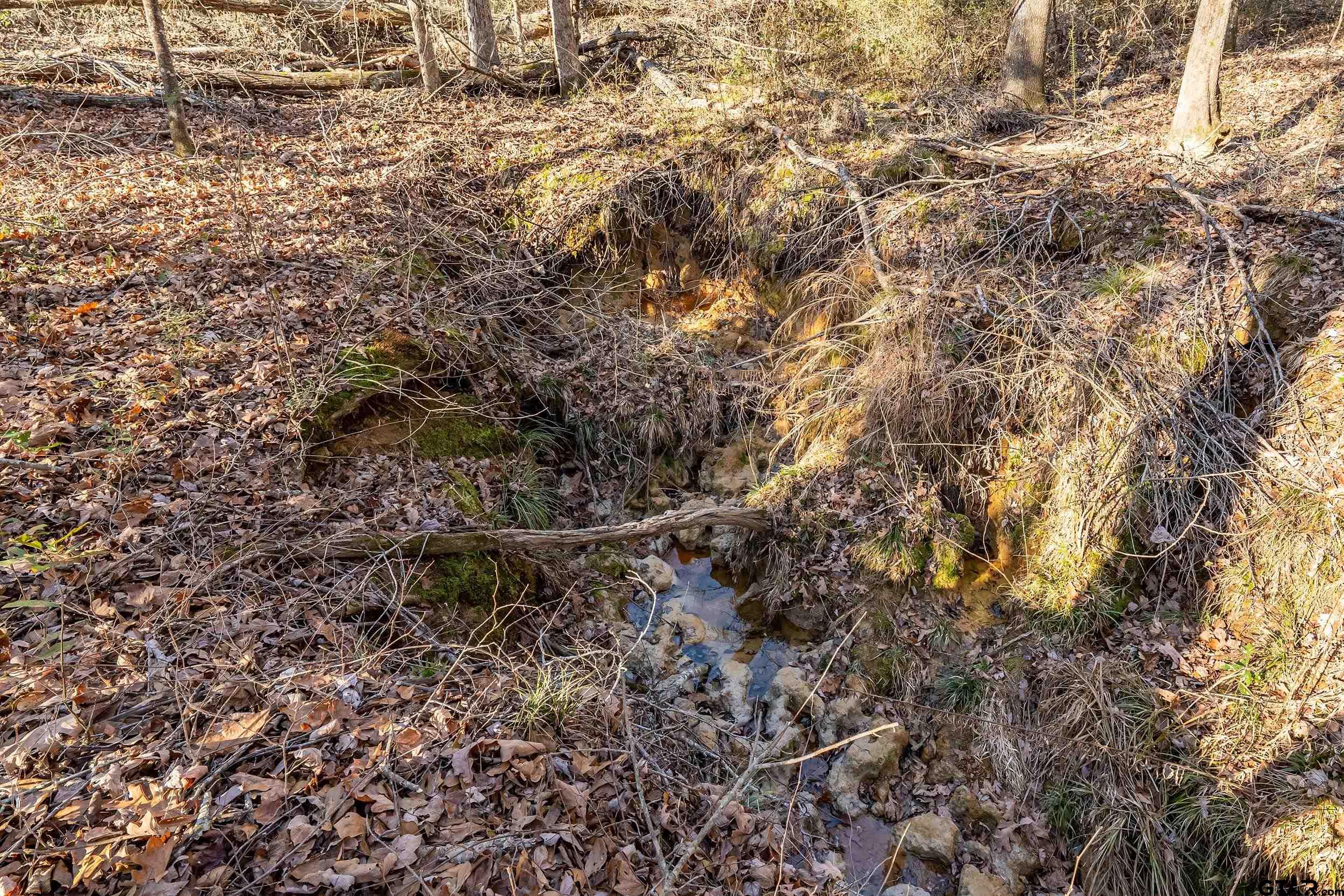 0 Red Oak Road Marshall, TX 75670 - Photo 44 of 47