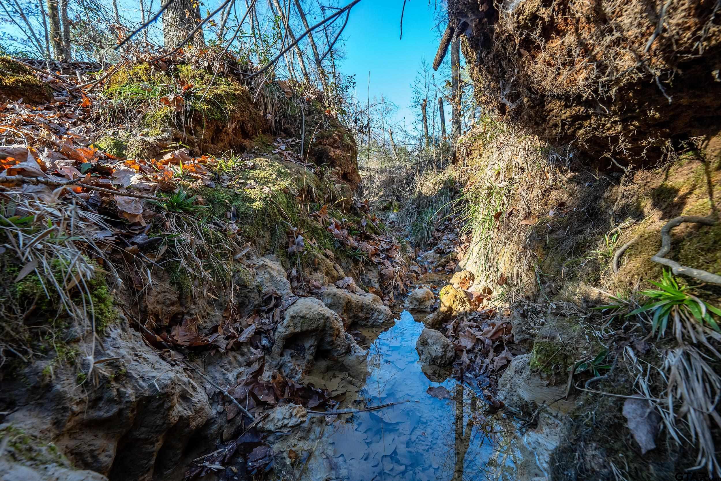 0 Red Oak Road Marshall, TX 75670 - Photo 45 of 47