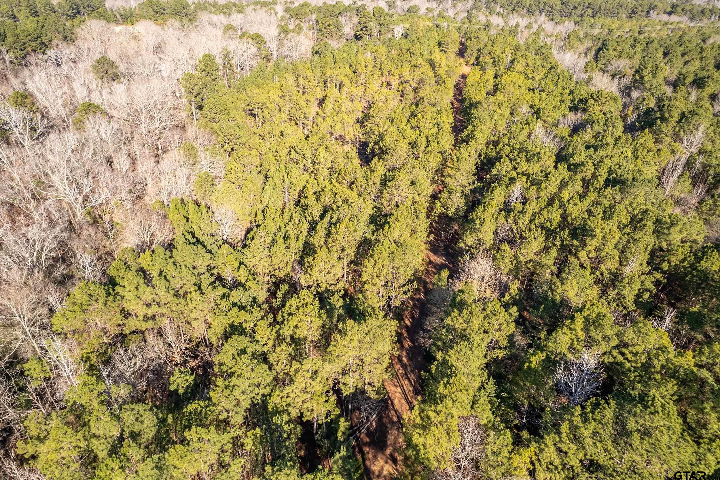 0 Red Oak Road Marshall, TX 75670 - Photo 5 of 47