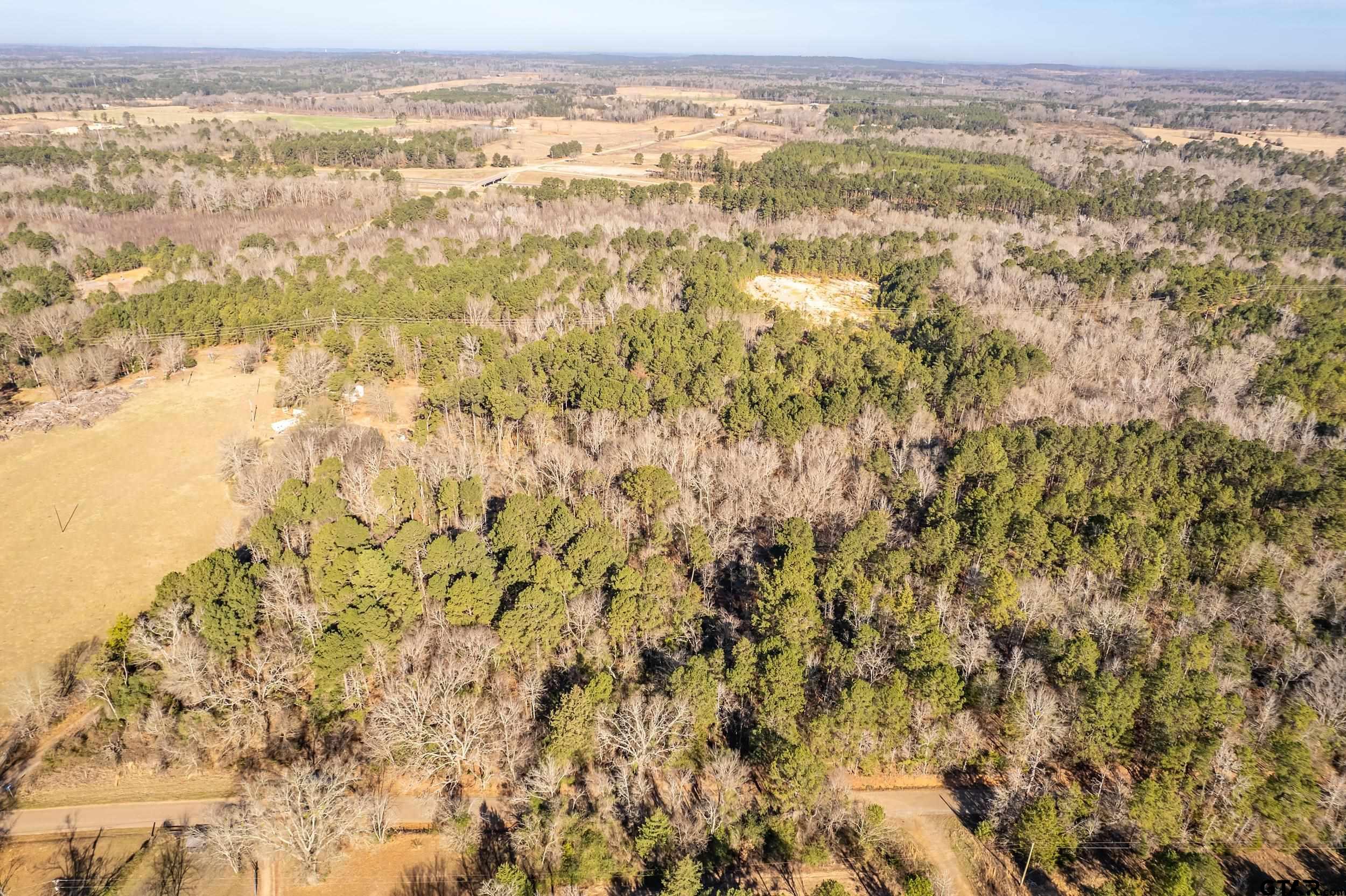 Tbd Red Oak Road Marshall, TX 75670 - Photo 7 of 47