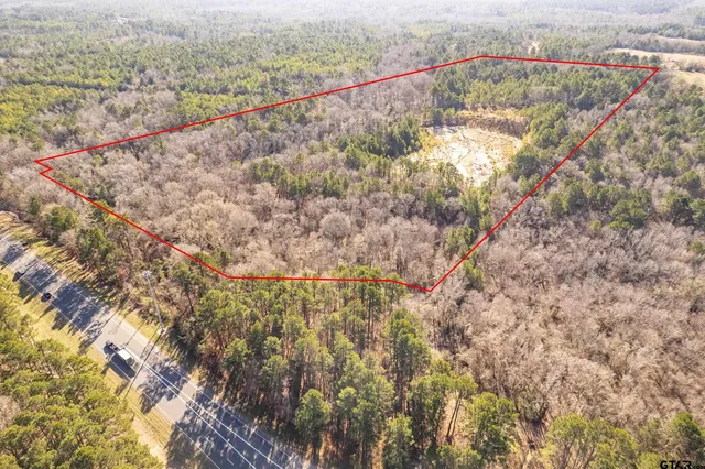 a view of a yard with plants and trees