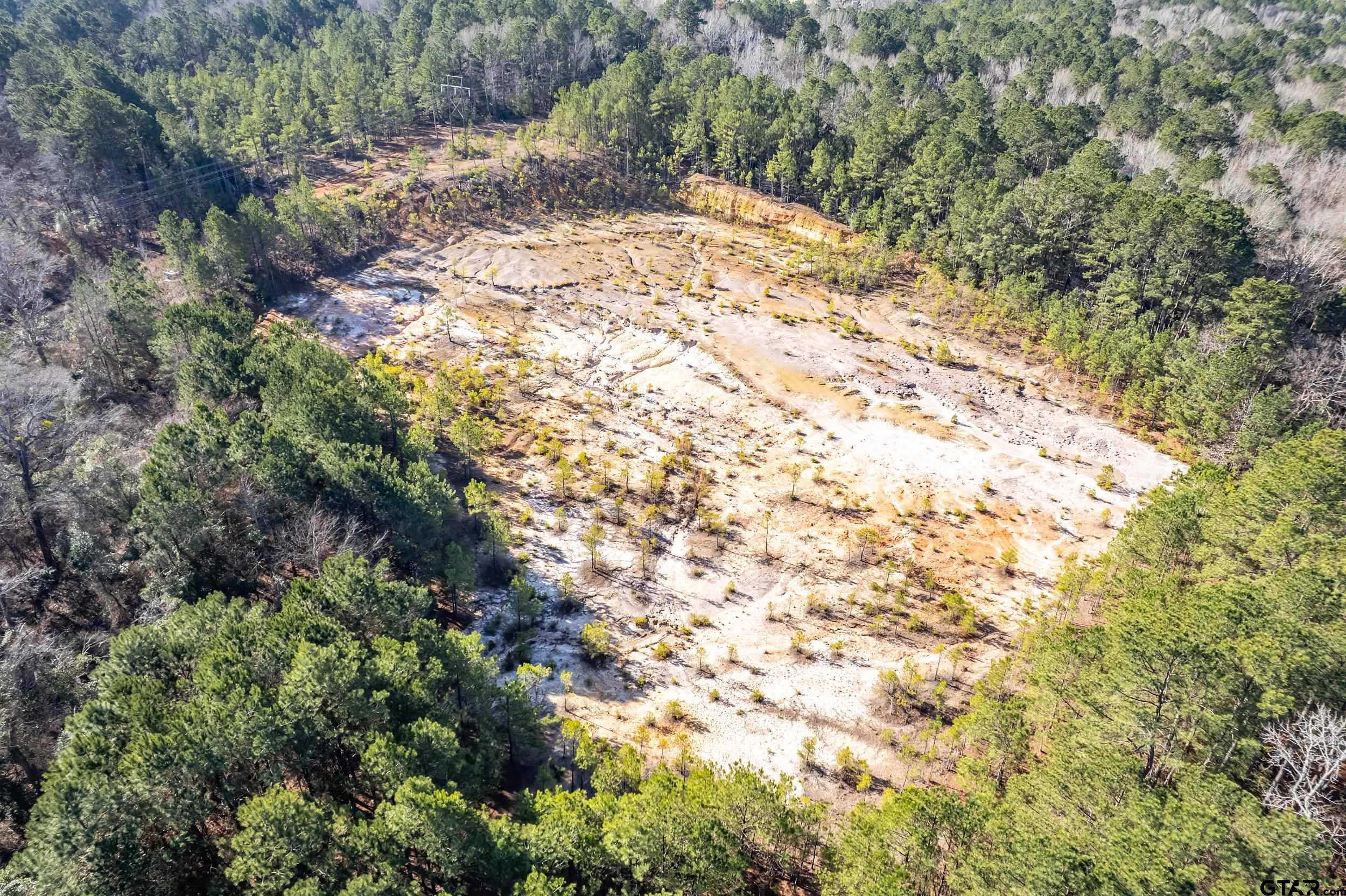 0 Red Oak Road Marshall, TX 75670 - Photo 10 of 47