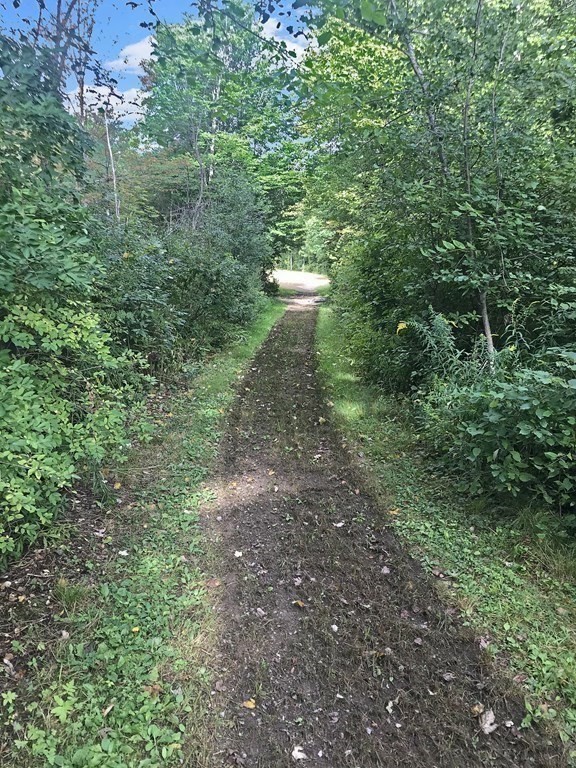 338 Neck Road Lancaster, MA 01523 - Photo 12 of 42 a view of a forest with lots of trees