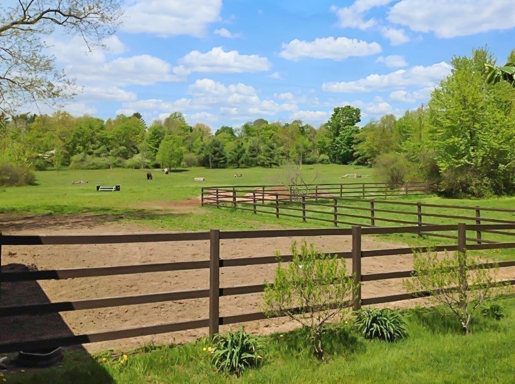 338 Neck Road Lancaster, MA 01523 - Photo 34 of 42 a view of a park with a big yard and potted plants