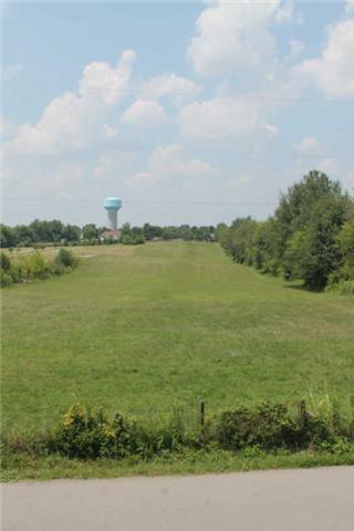 1554 Hicks Edgen Road Pleasant View, TN 37146 - Photo 4 of 19 View of farmland across the street.