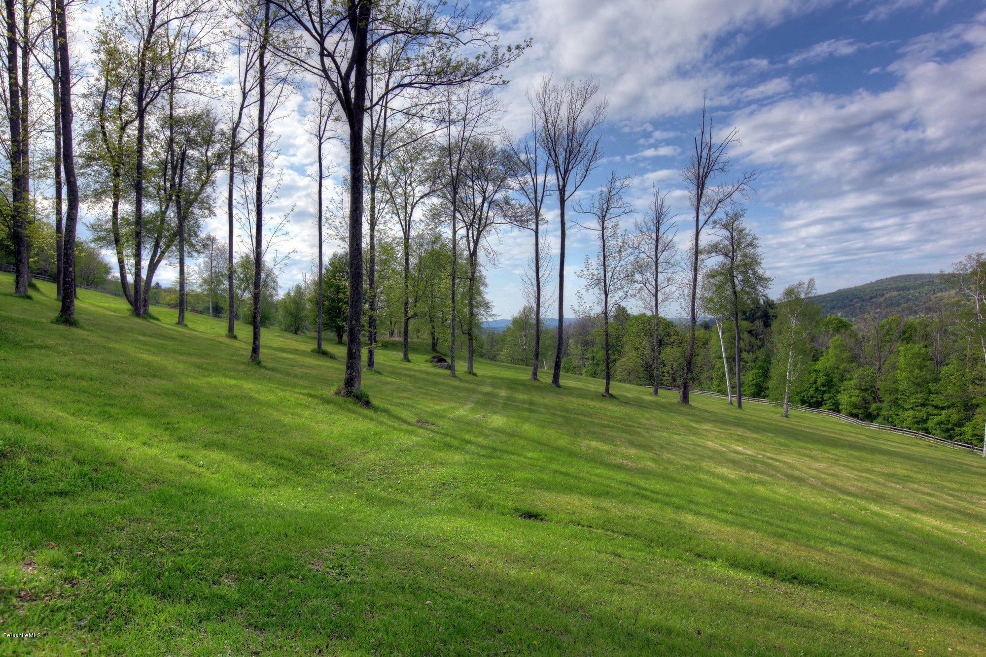 137 Jerusalem Road Tyringham, MA 01264 - Photo 52 of 59 a view of a park with large trees