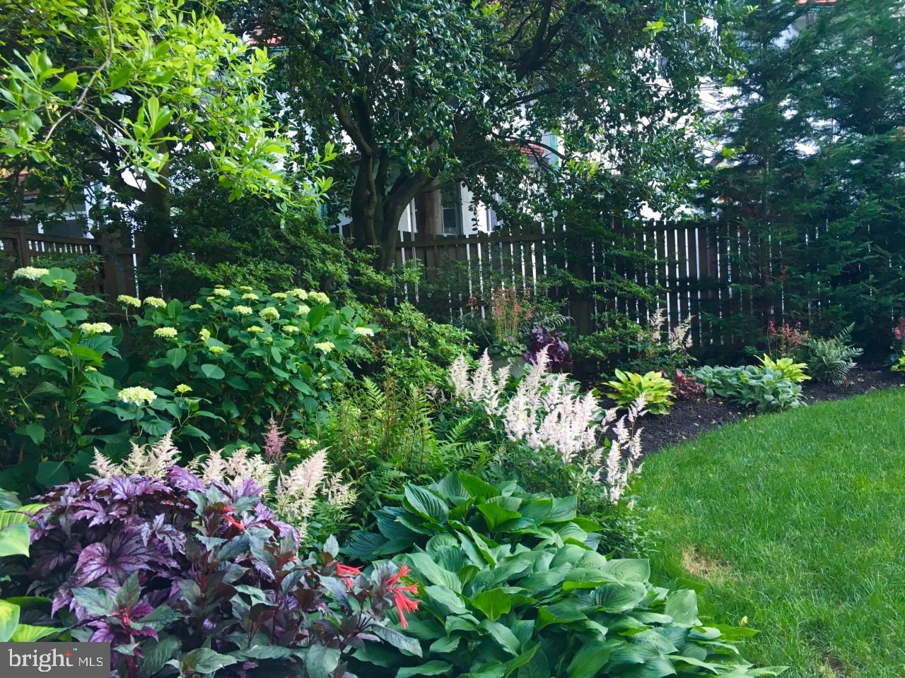 9 Crawford Circle Wilmington, DE 19805 - Photo 20 of 20 Owners Springtime photos