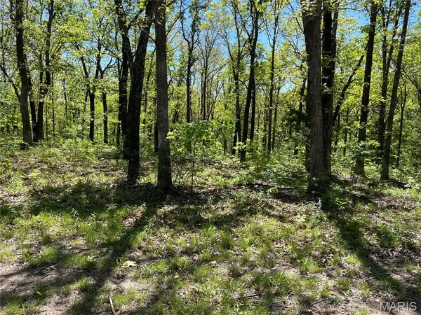 $170,000 | Tbd Lobo Drive, Festus, MO 63028