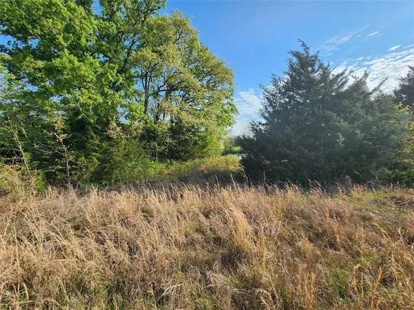 a view of a lake with a forest
