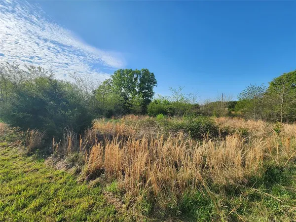 a view of a lake with a yard