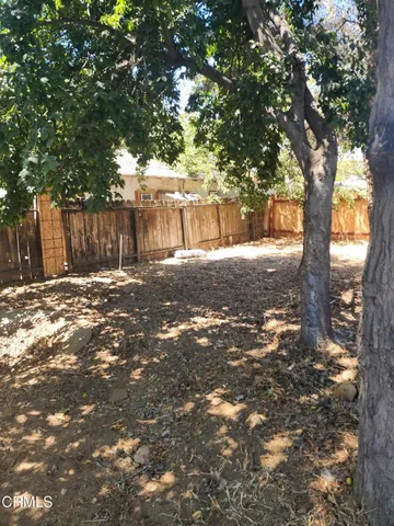 a view of backyard with tree