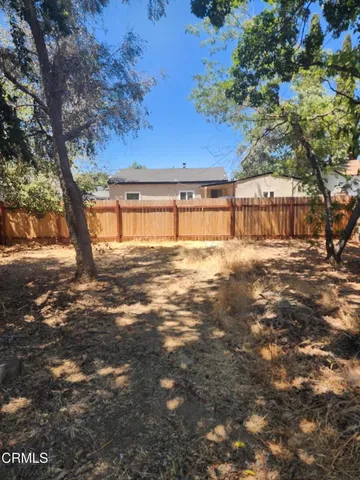 a view of a yard with a tree