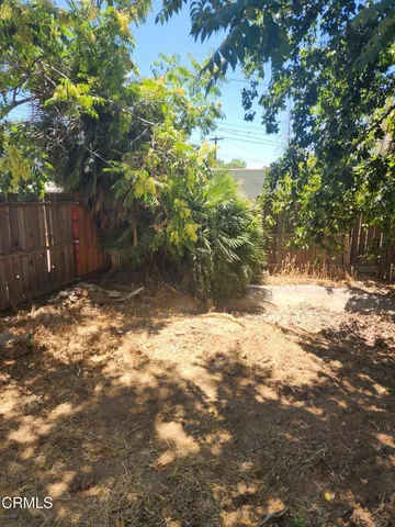 a view of a yard with a tree
