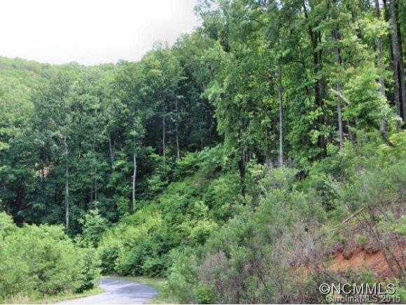 2121 Harm Creek Loop Mill Spring, Unit 2121 Mill Spring, NC 28756 - Photo 2 of 17